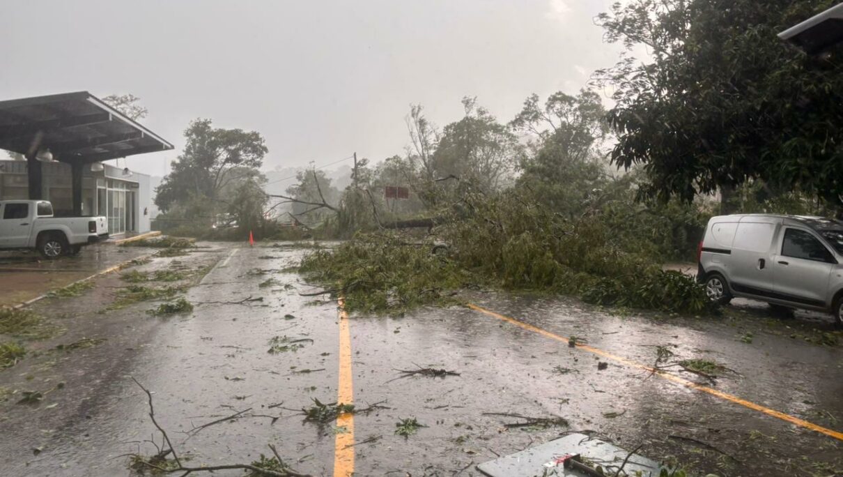 ACOMPAÑAMOS A LOS TRABAJADORES Y TRABAJADORAS DE ORÁN