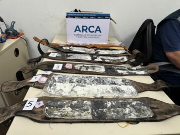 PROCEDIMIENTO ADUANERO – SALTA