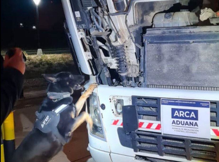 LA ADUANA DETECTÓ 18,6KG DE COCAÍNA EN UN CAMIÓN QUE INGRESABA DESDE BOLIVIA